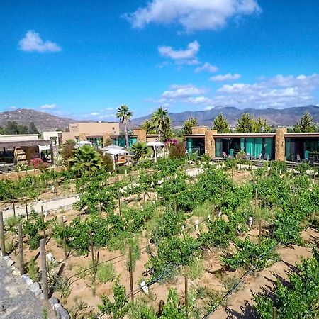 Entre Vinedos By Hotel Boutique Valle De Guadalupe Ngoại thất bức ảnh