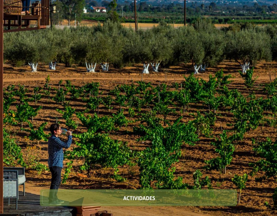 Entre Vinedos By Hotel Boutique Valle De Guadalupe Ngoại thất bức ảnh