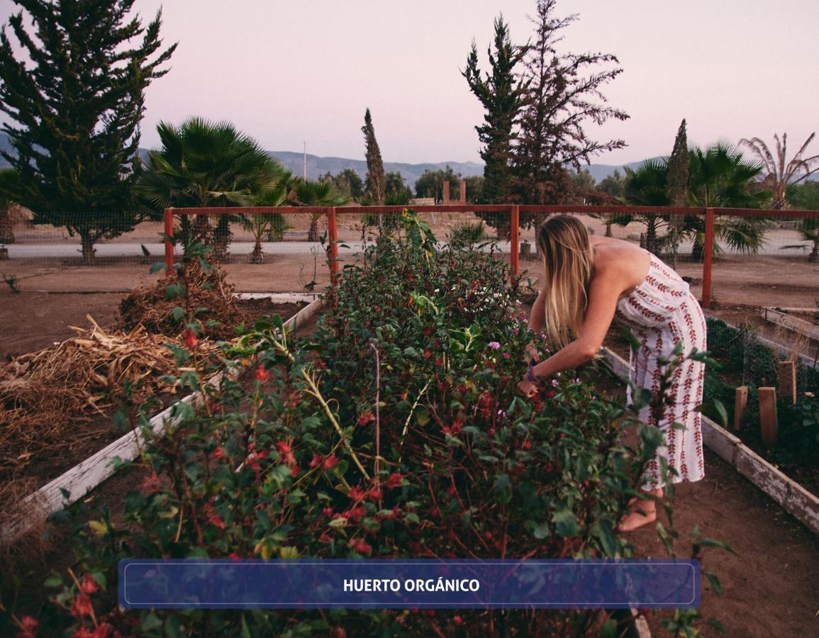 Entre Vinedos By Hotel Boutique Valle De Guadalupe Ngoại thất bức ảnh