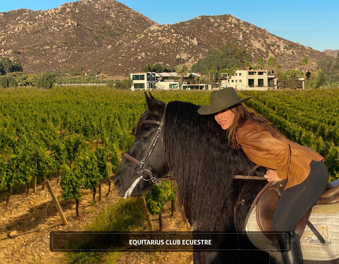 Entre Vinedos By Hotel Boutique Valle De Guadalupe Ngoại thất bức ảnh