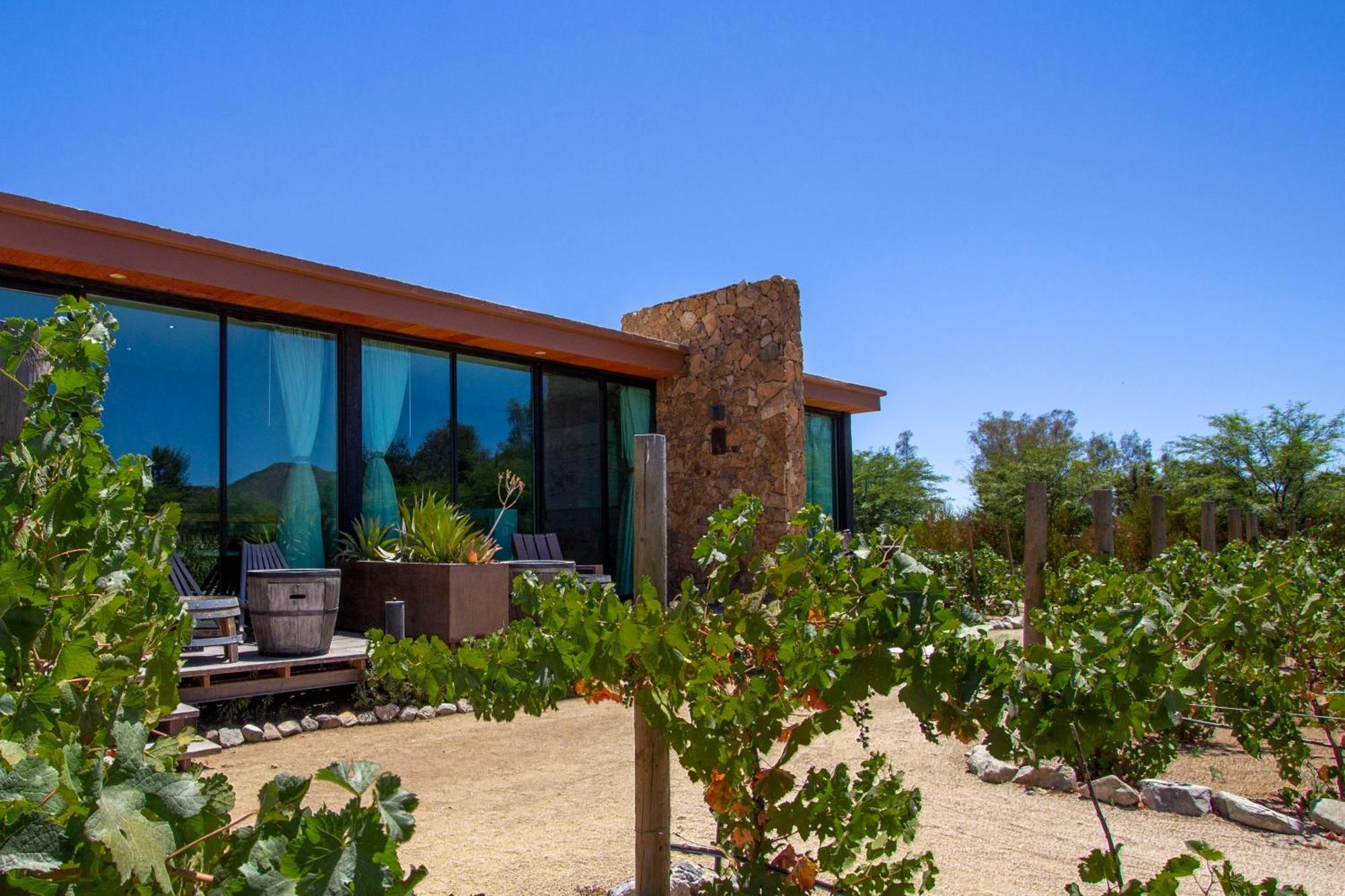 Entre Vinedos By Hotel Boutique Valle De Guadalupe Ngoại thất bức ảnh