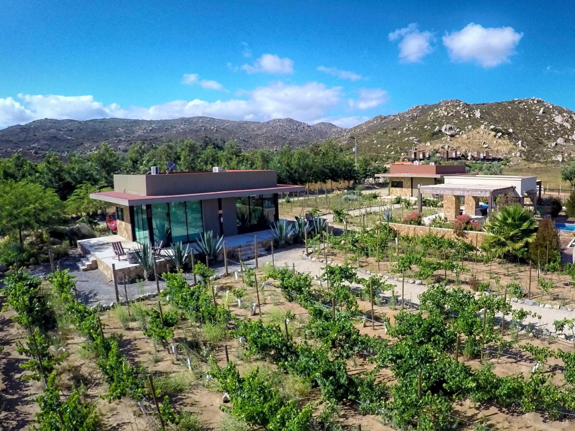 Entre Vinedos By Hotel Boutique Valle De Guadalupe Phòng bức ảnh